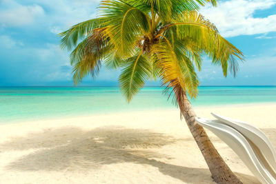 Beautiful tropical beach with palm trees and moody sky. beach scene and summer holiday concept