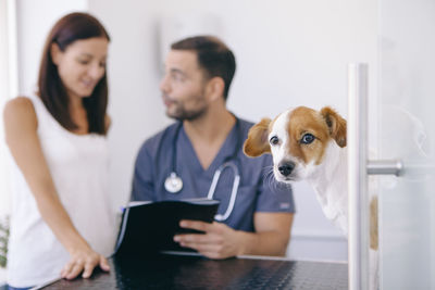 Portrait of puppy with veterinarian and pet owner in background
