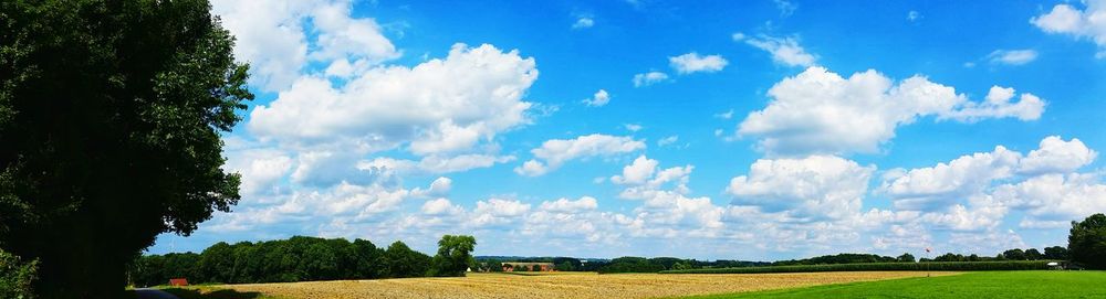 Panoramic view of field against sky