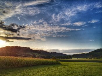 Scenic view of field against sky