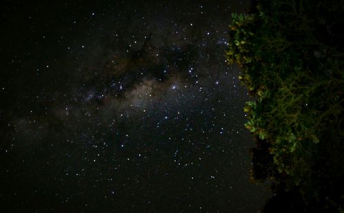 Low angle view of stars in sky