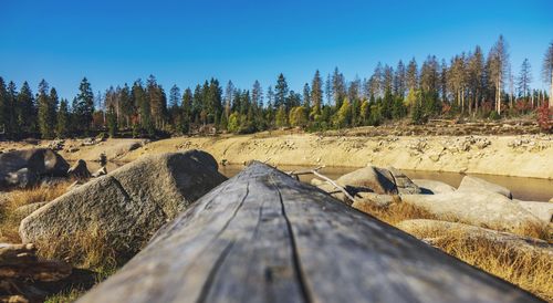 Surface level of wood against clear sky