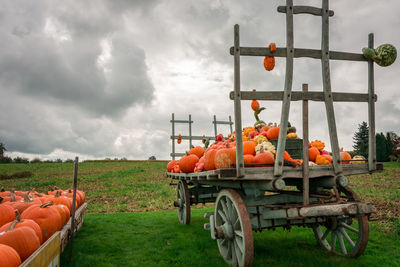 Traditional windmill on field against sky