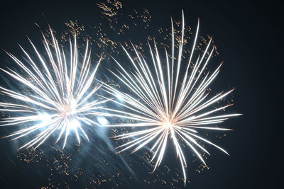 Low angle view of firework display at night