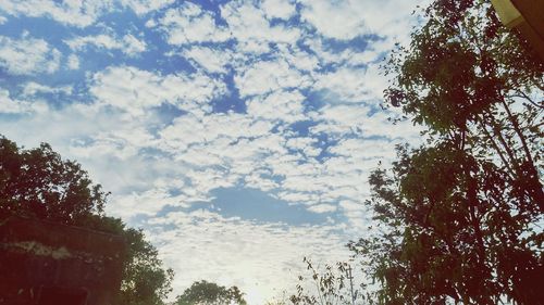 Low angle view of trees against cloudy sky