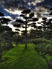 Scenic view of grassy field against cloudy sky