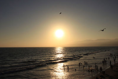 Silhouette birds flying over sea at sunset