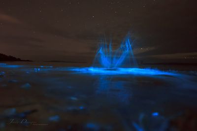 Light trails on sea against sky at night