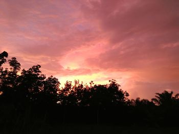 Silhouette trees against dramatic sky during sunset