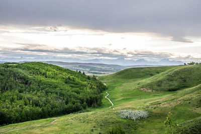 Scenic view of landscape against sky