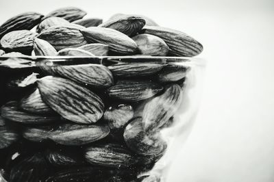 Close-up of food against white background