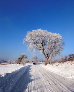 Bare tree on snow covered field against clear blue sky