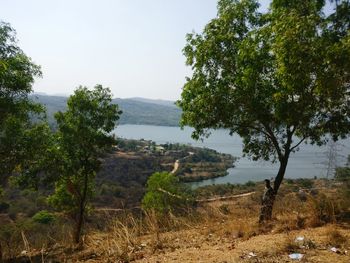 Scenic view of trees by lake against sky