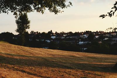 Scenic view of field against sky at sunset