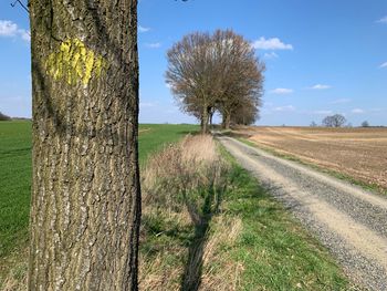 Trees on field by road against sky