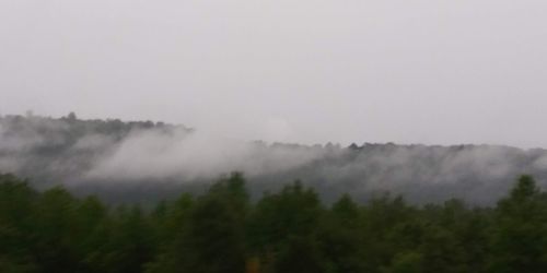 Scenic view of trees on mountain against sky