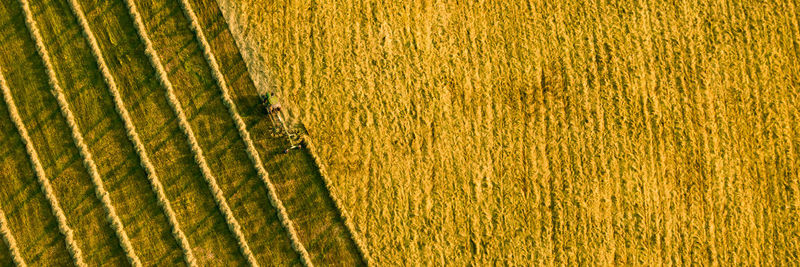 Aerial view of a agricultural machine during hay production. patterns of a cultivated farmland.