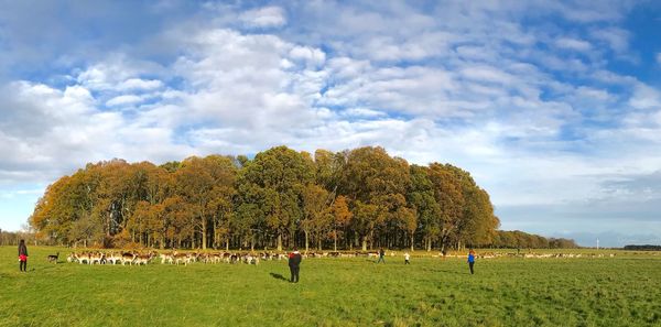 People on field against sky during autumn