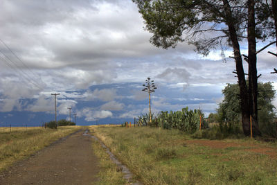 Country road in bloemfontein with big agave plants and trees