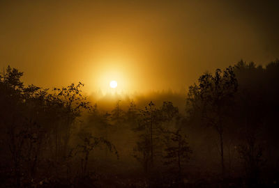 Silhouette trees against sky during sunset