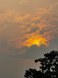 Low angle view of tree against sky during sunset