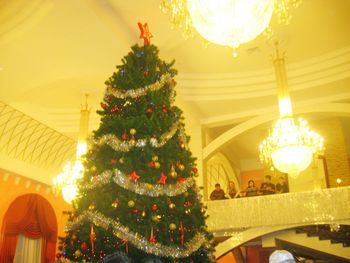 Illuminated christmas tree at night