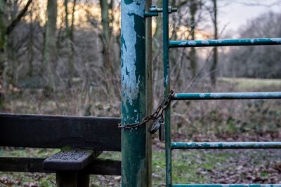 Close-up of gate at forest