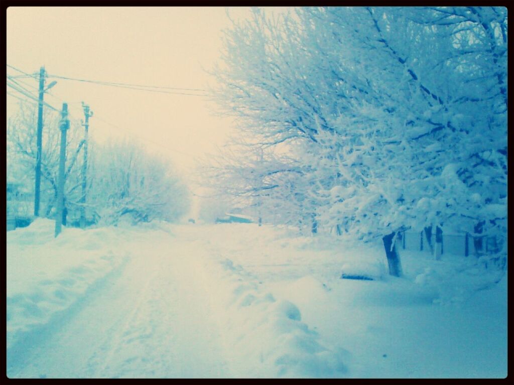 snow, winter, cold temperature, season, weather, transfer print, covering, tranquil scene, tree, tranquility, auto post production filter, frozen, beauty in nature, nature, landscape, scenics, white color, snow covered, covered, field