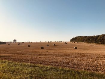 Hay bales on field against clear sky