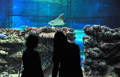 Rear view of women standing against aquarium with stingray swimming