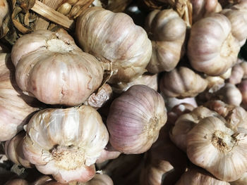 Close-up of pumpkins for sale in market