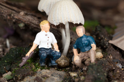 Close-up of mushrooms on field