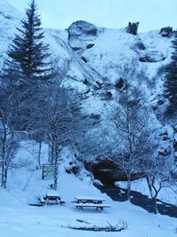 Frozen trees on mountain against sky