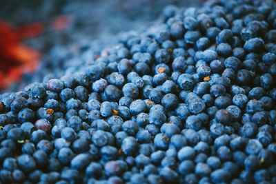 Blueberries at farmers' market