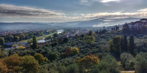 Panoramic view of trees on landscape against sky