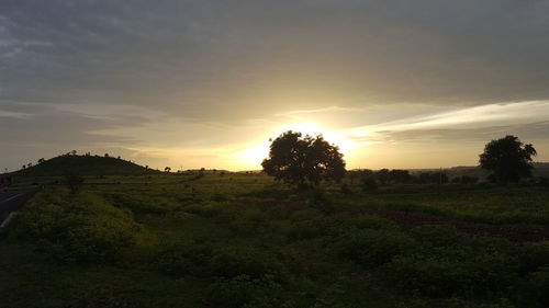 View of trees on landscape at sunset