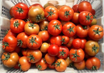 Full frame shot of tomatoes