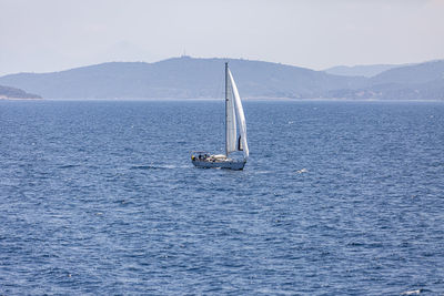 Sailboat sailing on sea against sky