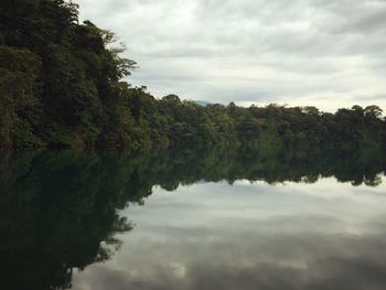 Reflection of trees in lake against sky