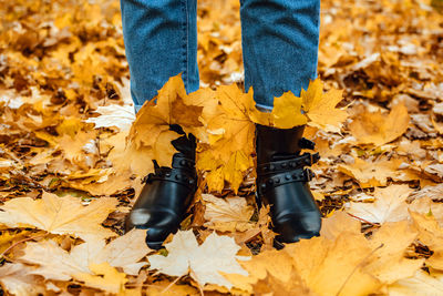 Happy fall, hello autumn. female legs in boots on the autumn leaves. autumn shoes. female legs in