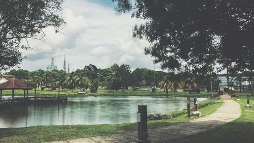 Scenic view of palm trees against sky