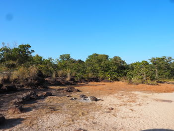 View of trees on landscape against clear blue sky