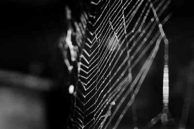 Close-up of spider web on metal