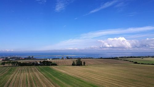 Scenic view of agricultural field against blue sky