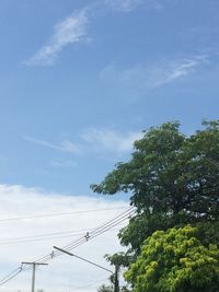 Low angle view of tree against sky