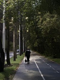 People walking on road
