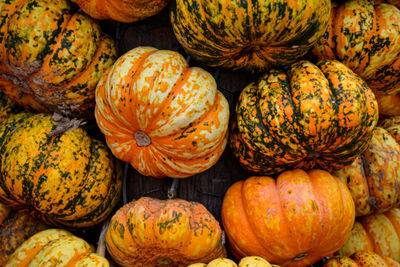 Full frame shot of pumpkins at market stall