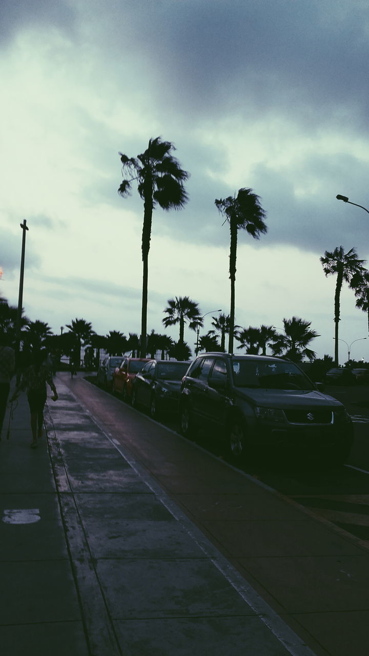 sky, transportation, car, mode of transport, tree, cloud - sky, land vehicle, street light, road, outdoors, day, palm tree, built structure, growth, no people, nature, architecture