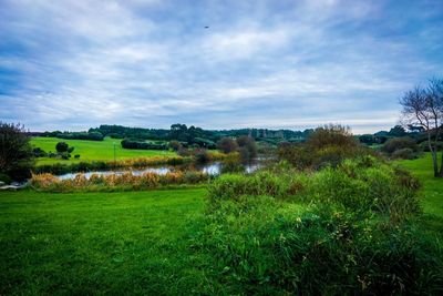 Scenic view of grassy field against cloudy sky