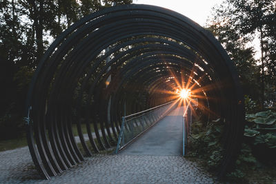 Illuminated footpath in park during sunset